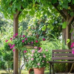 Pension Zum Ebenstein am Donausteig - Bild 6