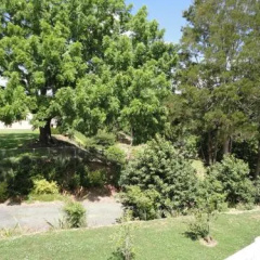 The Olive Grove Suite thumbnail 1
