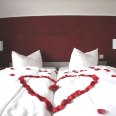 Hotel ElbRivera Alt Prester - Bild 2