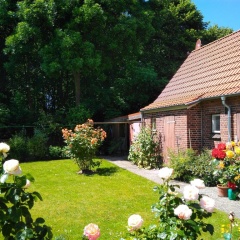 Windstärke 7 - Bild 3