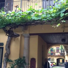 Lovelyloft - La Vigna - Bild 1