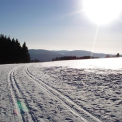 Pension Alfa - Bild 21