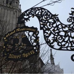 Ulmer Spatz - Bild 1