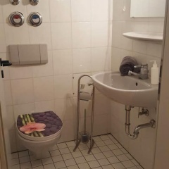 Lichtdurchflutetes Zentrales Apartment - Bild 6
