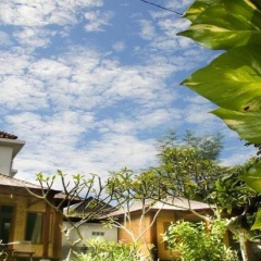 Timbis Homestay Bali - Bild 1