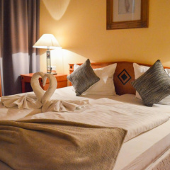 Carea Residenz Hotel Harzhöhe - Bild 3