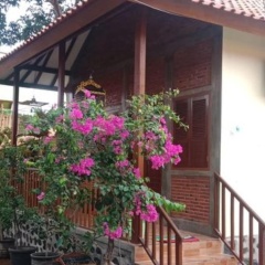 Nita's Homestay Banyuwangi - Bild 12