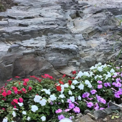Black Boar Inn Ogunquit thumbnail 8
