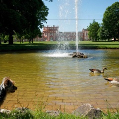 Hotel am Schlosspark - Bild 12