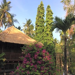 Lovina Villa Cinta - Bild 15