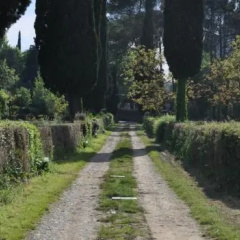 Villa Incontri thumbnail 15