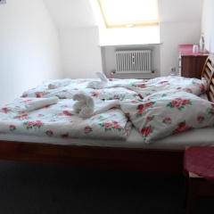 Gasthof Gruner Baum - Bild 3
