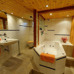Swissholidayhouse thumbnail 7