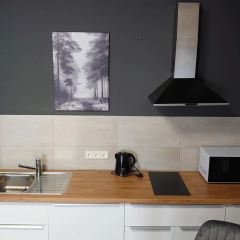 Maxim Apartments Mainz - Bild 12