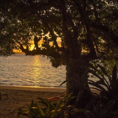 Barrier Beach Resort in Saraotou, Vanuatu from 414$, photos, reviews - zenhotels.com beach photo 4