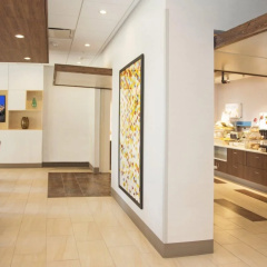 Holiday Inn Express & Suites Pittsburgh North Shore by IHG thumbnail 3