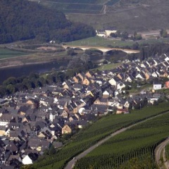 Weinstube Pension Moselblümchen - Bild 3