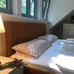 Potsdamer Stadtoase - Bild 3