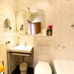 Löwen - Bild 9