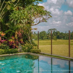 KClub Ubud - Bild 26