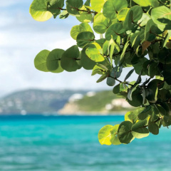 The Ritz-Carlton, St. Thomas thumbnail 4
