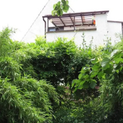 Ferienhaus und Ferienwohnung Genetzkie - Bild 1