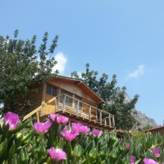 Olive Garden Kabak - Bild 22