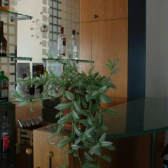 Hotel Niederraeder Hof - Bild 11