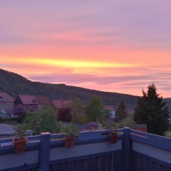 Hotel Villa Alice - Bild 17