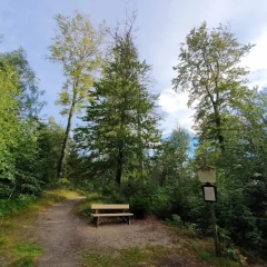 Ferienhaus in Schierke mit Garten - Bild 15