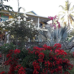 Yellow Home Casa Baja thumbnail 19