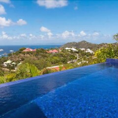 Villa Vague Bleue in Gustavia, St Barthelemy from 5324$, photos, reviews - zenhotels.com photo 12