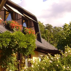 Huserl Im Wald - Bild 16