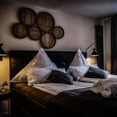 ZaVélo Suite - Bild 2