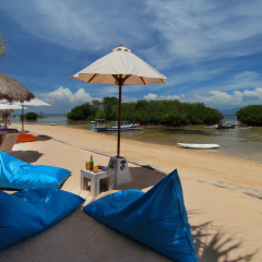 Mangrove Paradise Retreat - Bild 12