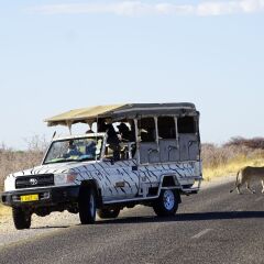 Etosha Safari Camping2Go in Okaukuejo, Namibia from 89$, photos, reviews - zenhotels.com photo 12