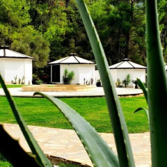 Nature Village Olympos thumbnail 8