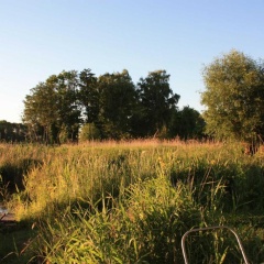 Ferienwohnungen Usedom USE 3380 - Bild 5