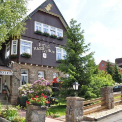 Hotel Hasselhof Superior - Bild 24