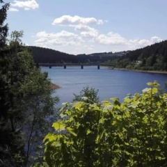 Haus Silberhütte für Mensch und Hund - Bild 12