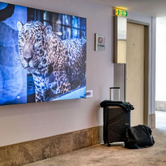 Mercure Hotel Berlin City - Bild 15