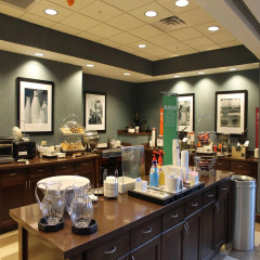 Hampton Inn & Suites Stroudsburg Pocono Mountains thumbnail 17