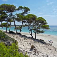 Hotel Isla de Cabrera - Bild 23