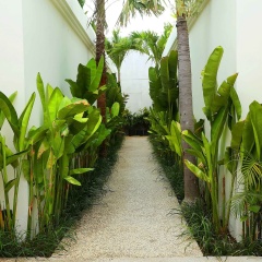 Villa Canggu - Bild 22
