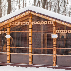 Hoprovskie Zori photo 2