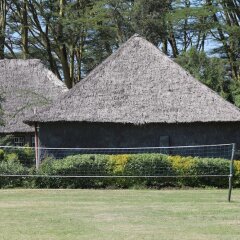 Cactus Eco Camp and Lodge in Nakuru, Kenya from 60$, photos, reviews - zenhotels.com photo 8