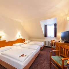 Hotel Ahl Meerkatzen - Bild 7