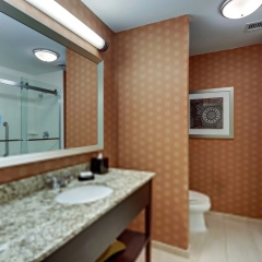Hampton Inn & Suites Hartsville thumbnail 9