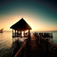 Impala Ecolodge thumbnail 12