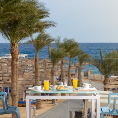 Beach Albatros Resort - All Inclusive - Bild 25
